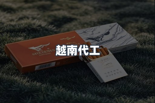 越南代工